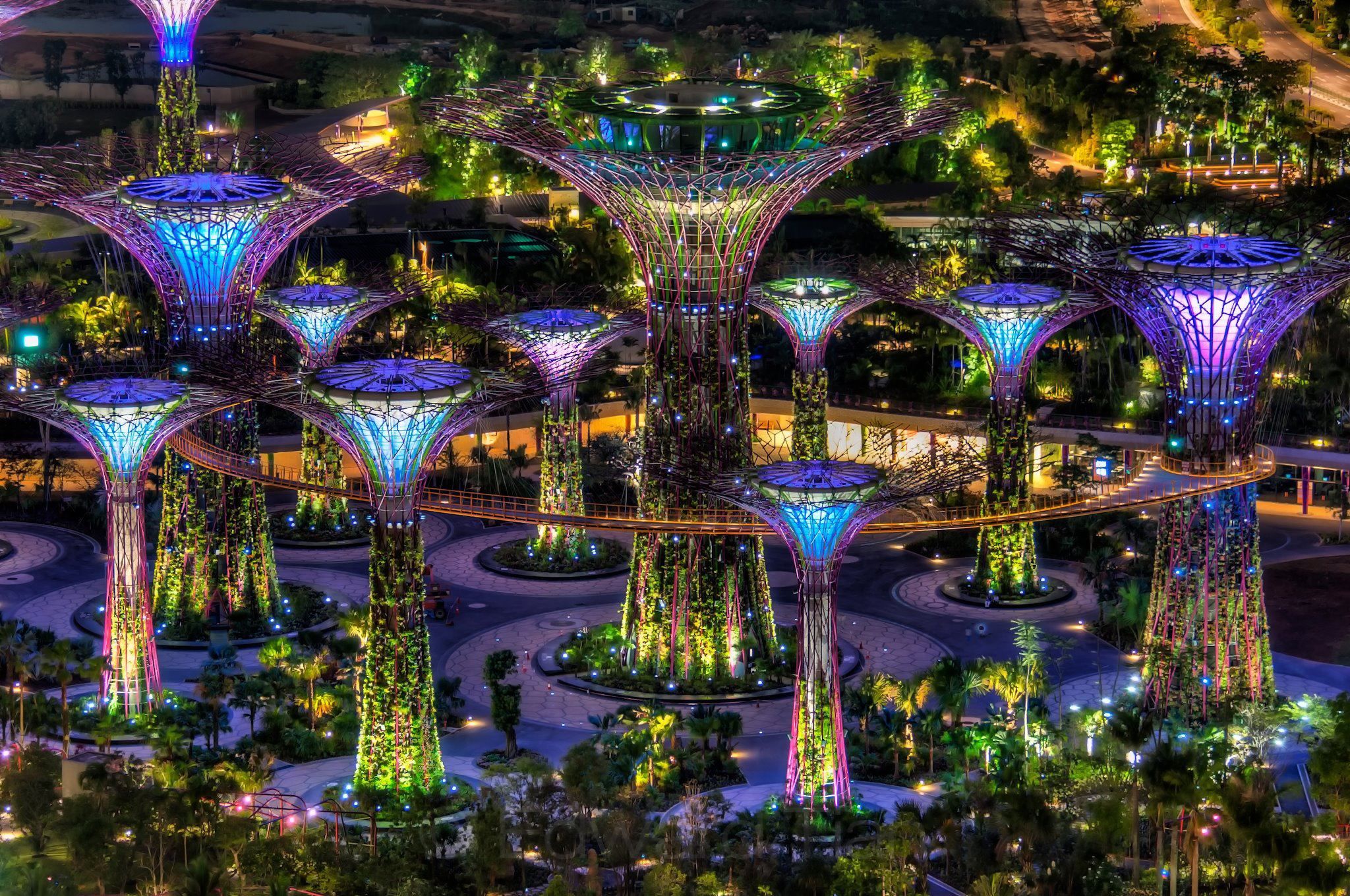 Supertree Grove Gardens by the Bay saat malam hari.