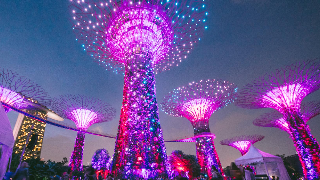 Supertree Grove Gardens by the Bay saat malam hari.